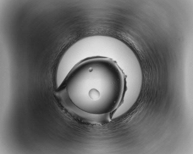 X0000096440546200802141454