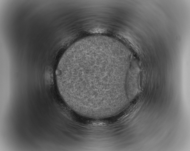 X0000096440547200802141454