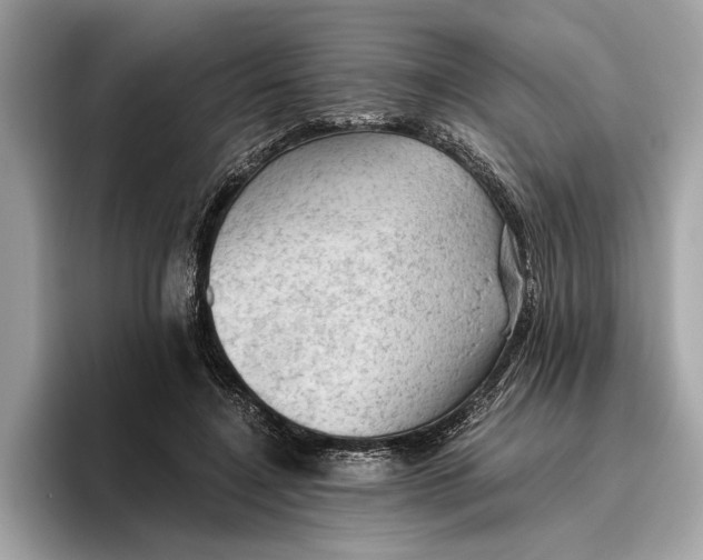 X0000096440548200802141454