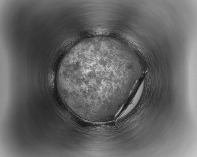 X0000096440550200802141454