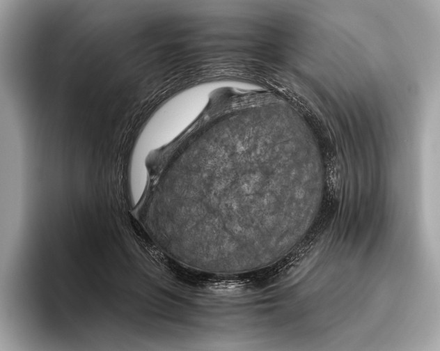 X0000096440551200802141454