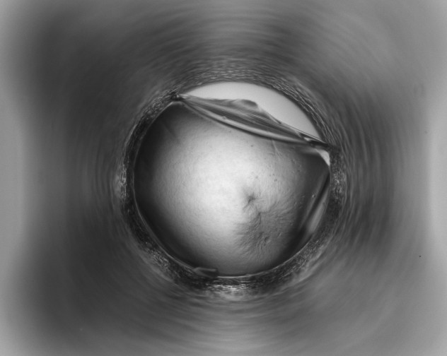 X0000096440552200802141454