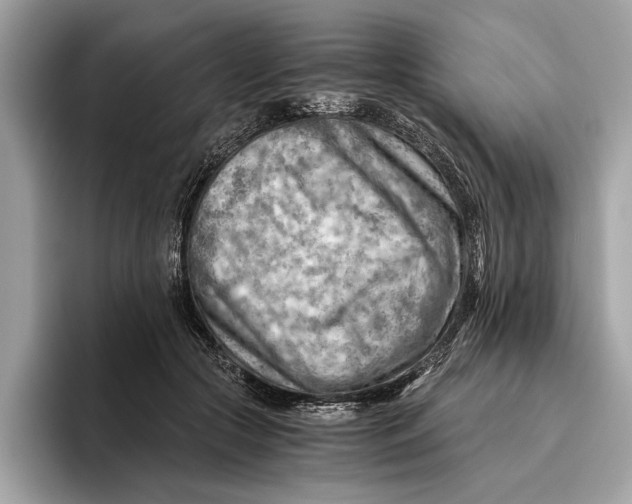 X0000096440553200802141454