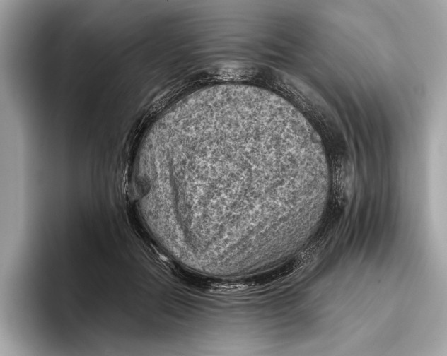 X0000096440554200802141454