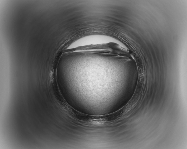 X0000096440556200802141454