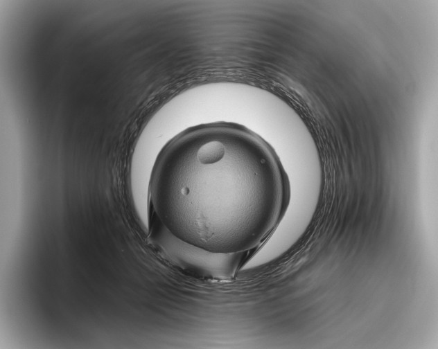 X0000096440558200802141454