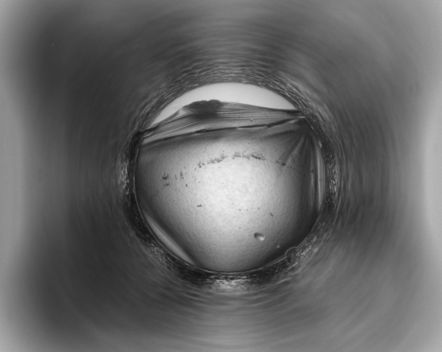 X0000096440560200802141454