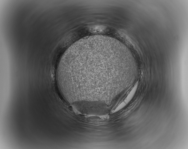 X0000096440561200802141454