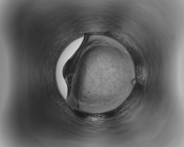 X0000096440563200802141454