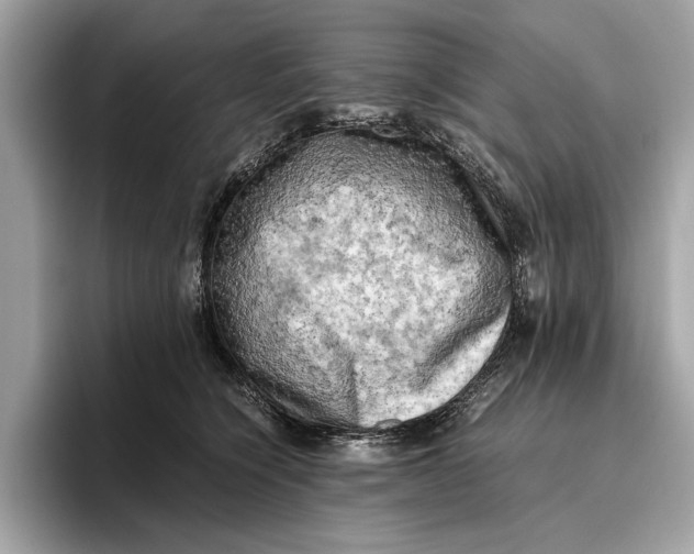 X0000096440564200802141454