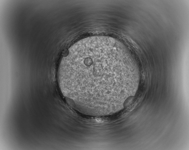 X0000096440565200802141454