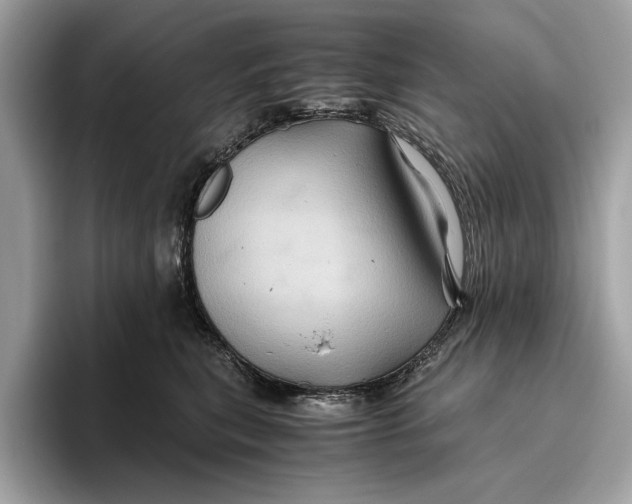 X0000096440567200802141454