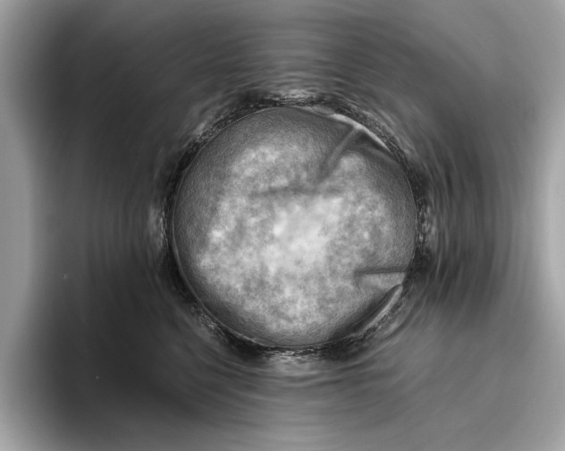 X0000096440568200802141454