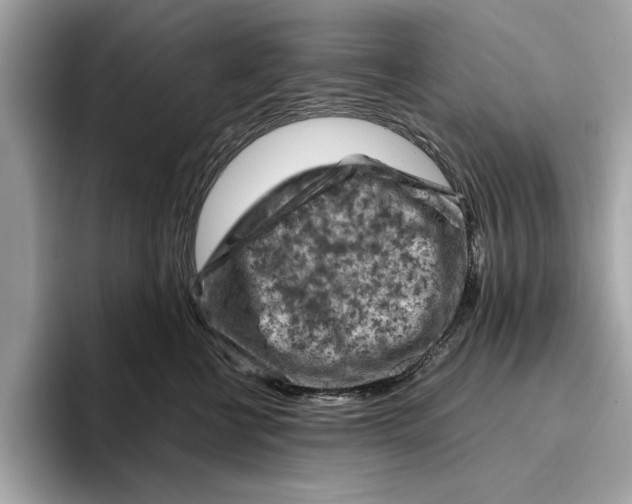 X0000096440570200802141454