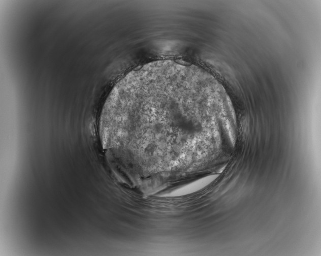 X0000096440571200802141454