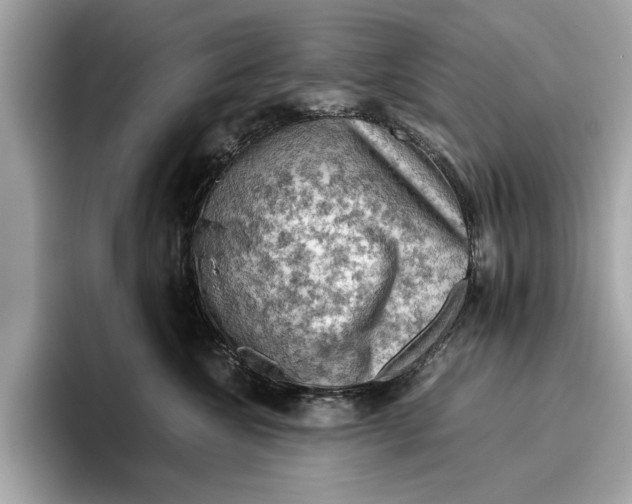 X0000096440572200802141454