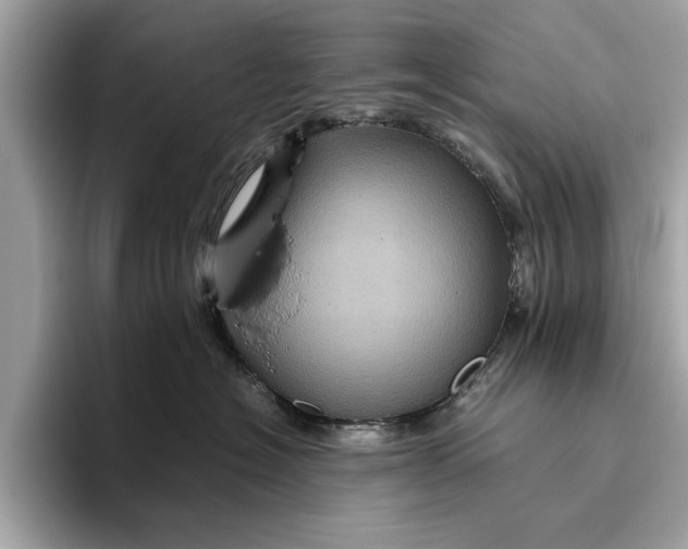 X0000096440574200802141454