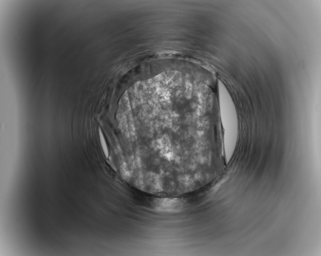 X0000096440575200802141454