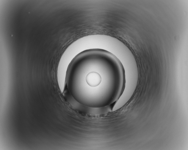 X0000096440576200802141454