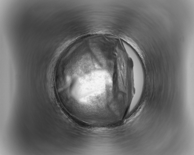 X0000096440577200802141454