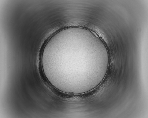 X0000096440578200802141454