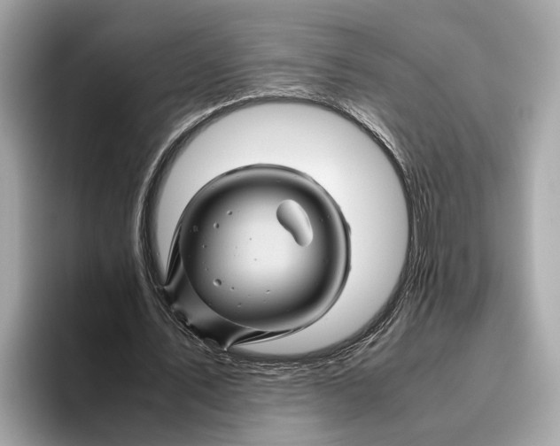 X0000096440579200802141454