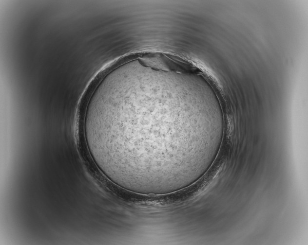 X0000096440580200802141454