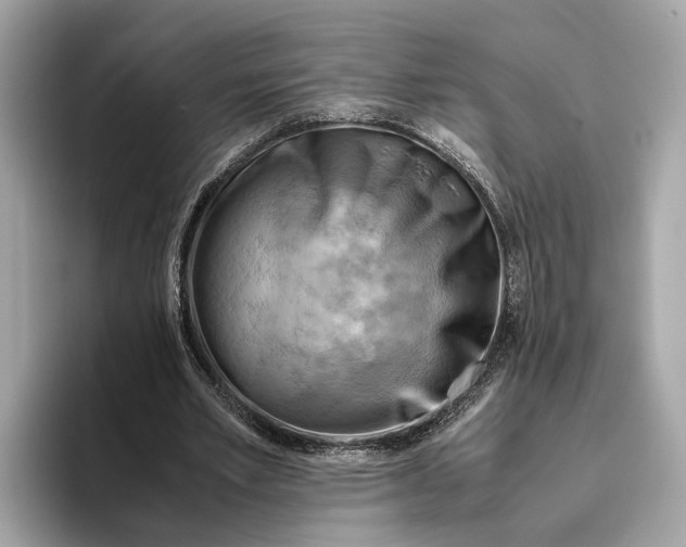 X0000096440581200802141454