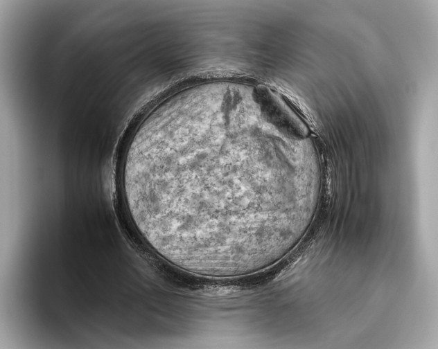 X0000096440582200802141454