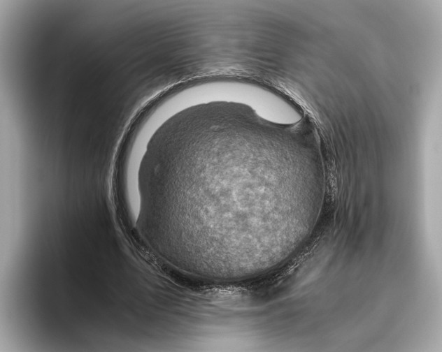 X0000096440583200802141454