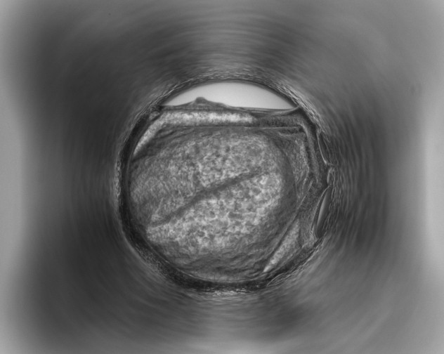 X0000096440586200802141454