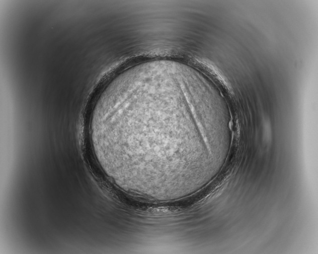 X0000096440588200802141453