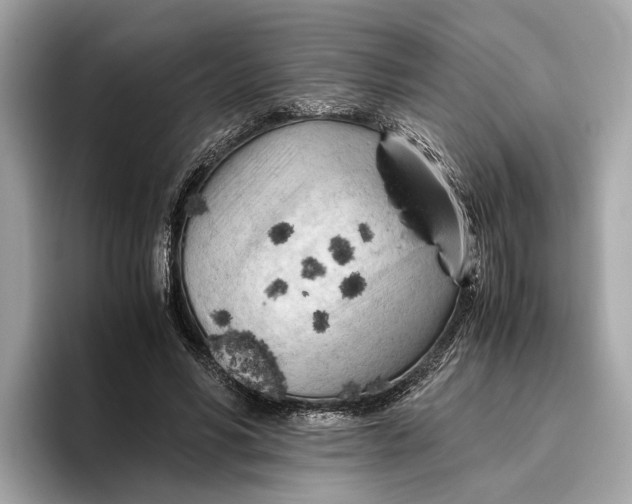 X0000096440590200802141453