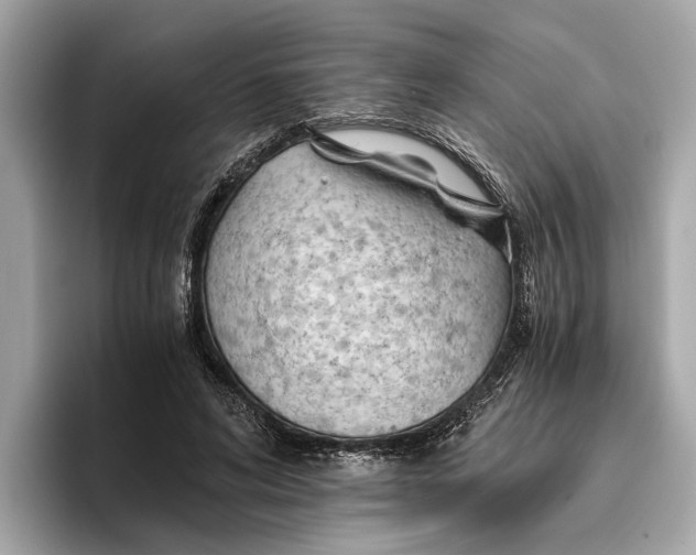 X0000096440592200802141453