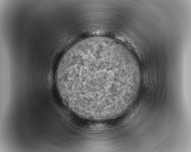 X0000096440594200802141453