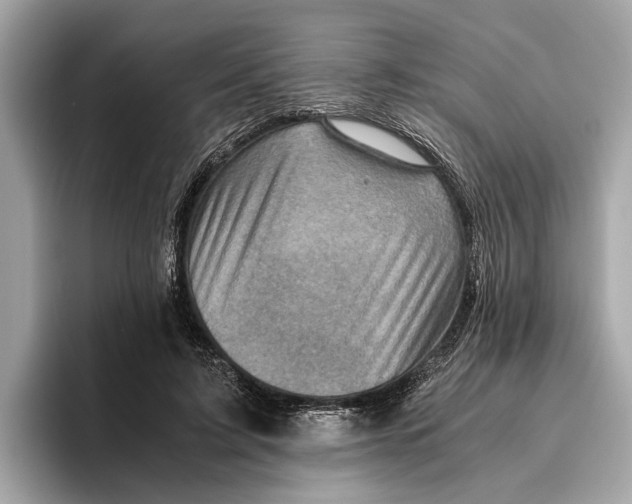 X0000096440595200802141453