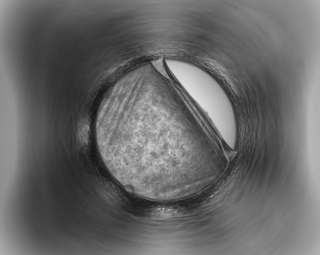 X0000096440596200802141453