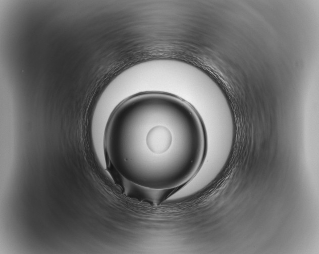 X0000096440597200802141453