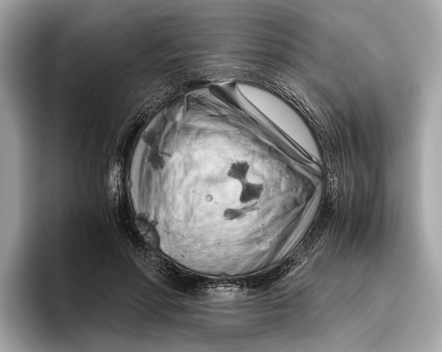 X0000096440598200802141453