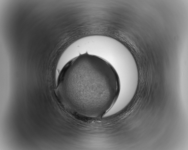 X0000096440599200802141453