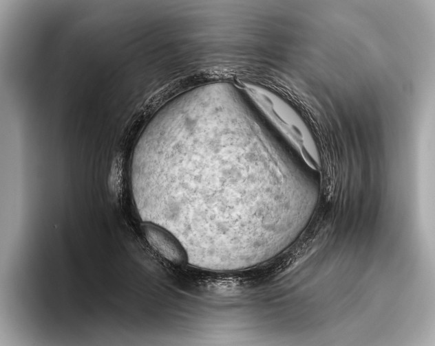 X0000096440600200802141453