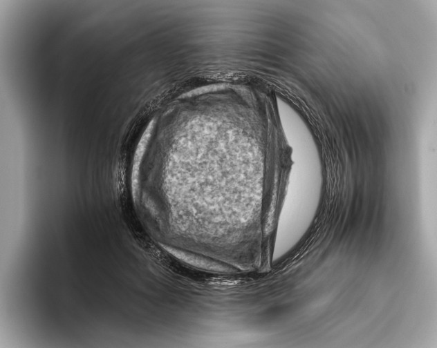 X0000096440602200802141453