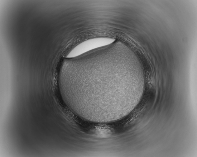 X0000096440603200802141453