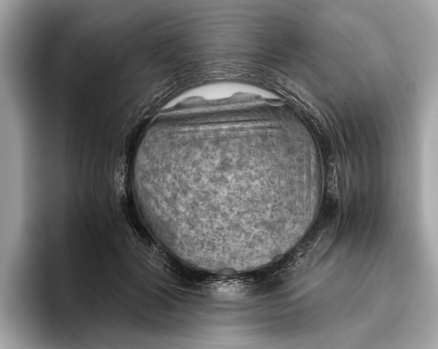 X0000096440604200802141453