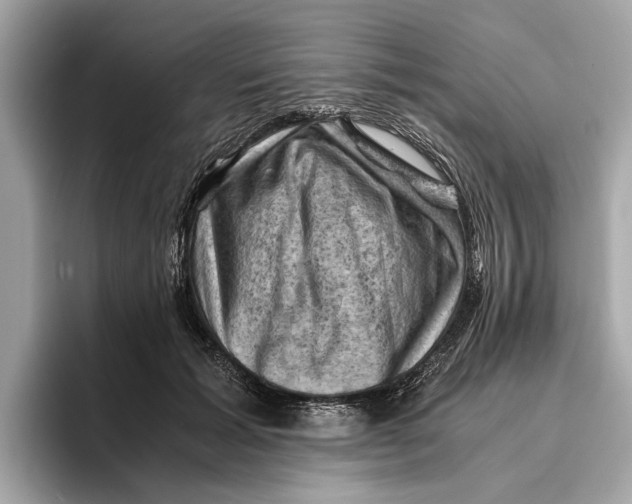 X0000096440605200802141453