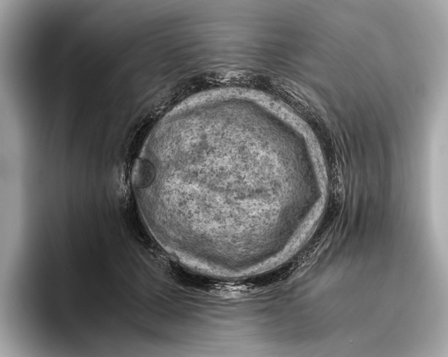 X0000096440607200802141453