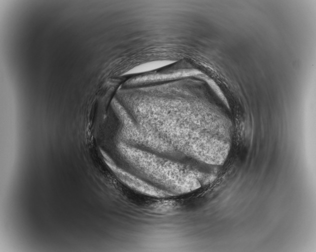 X0000096440609200802141453