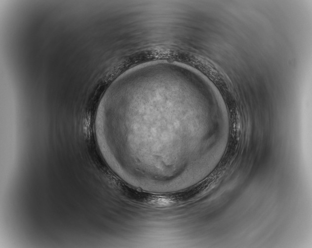 X0000096440610200802141453