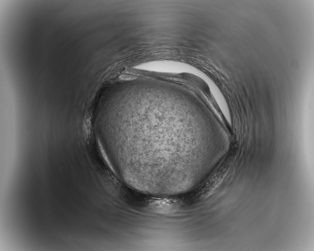 X0000096440611200802141453