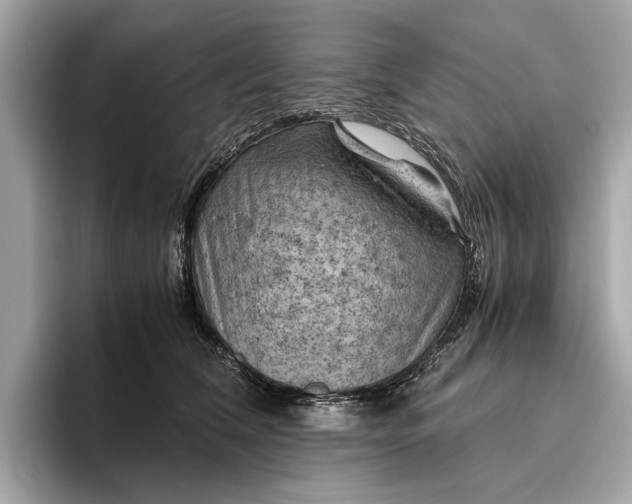 X0000096440612200802141453